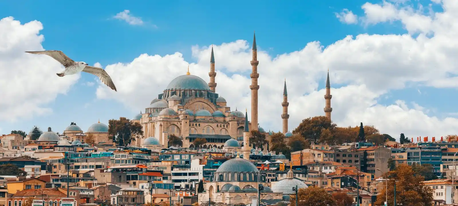 Turkey